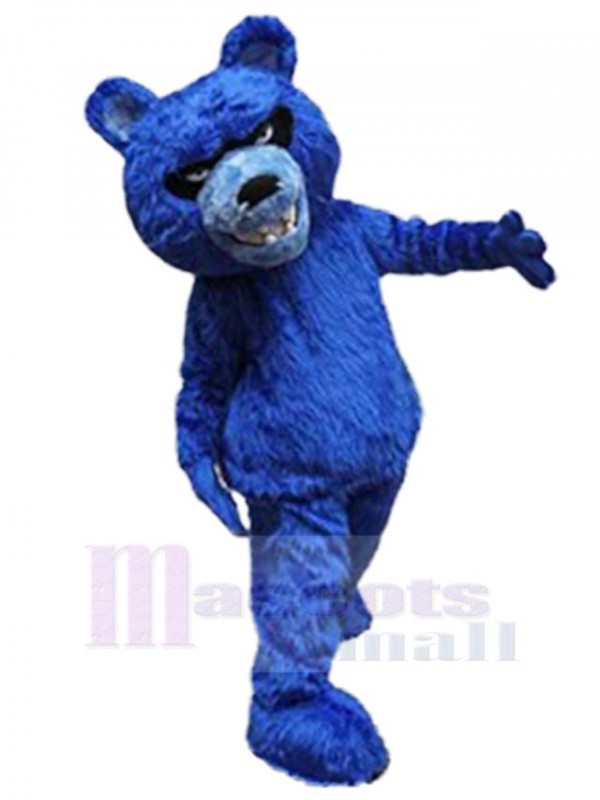 Bear mascot costume