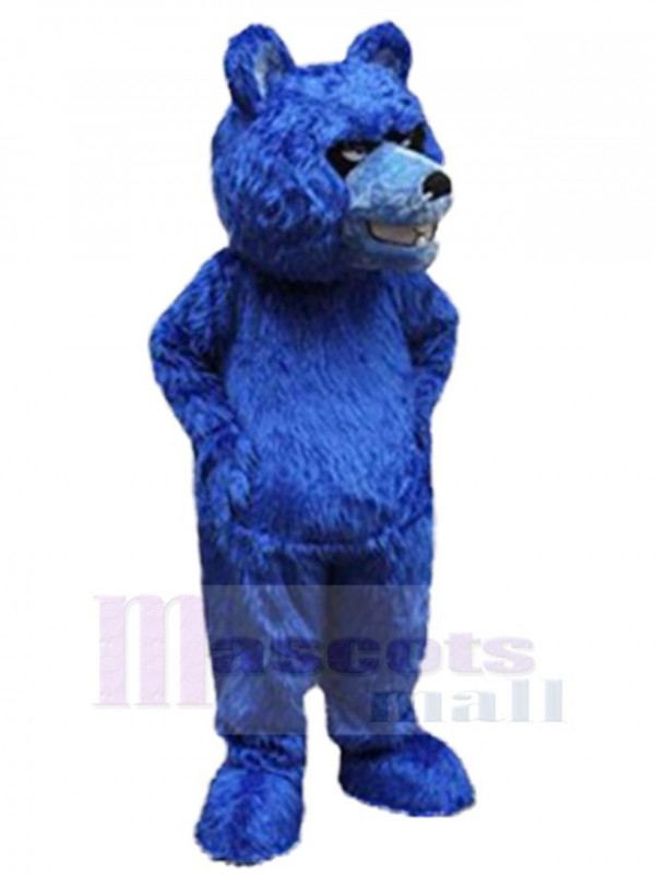 Bear mascot costume