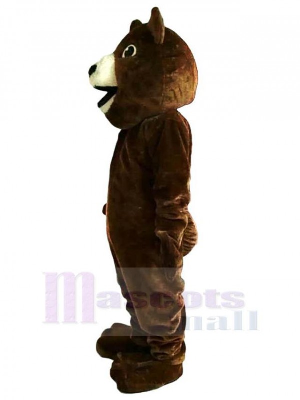 Bear mascot costume