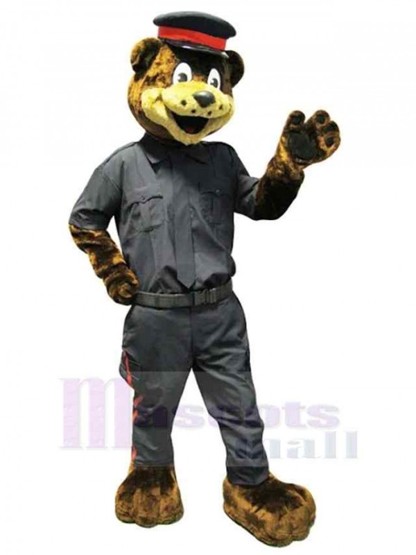Bear mascot costume