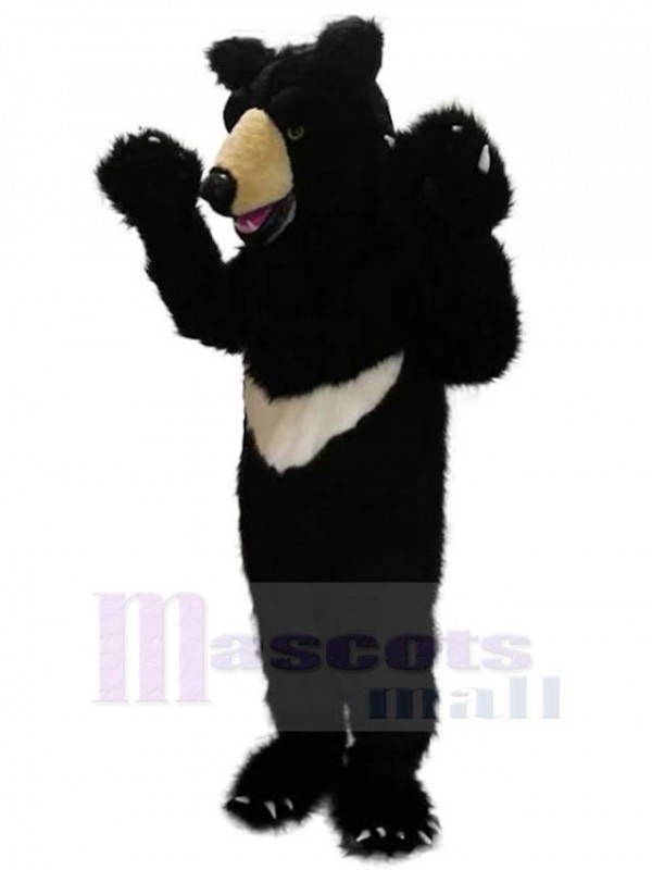 Bear mascot costume