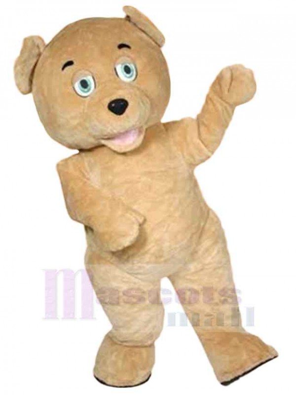 Bear mascot costume
