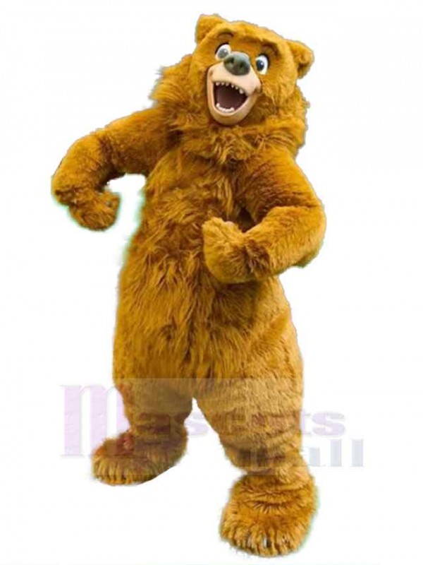 Bear mascot costume
