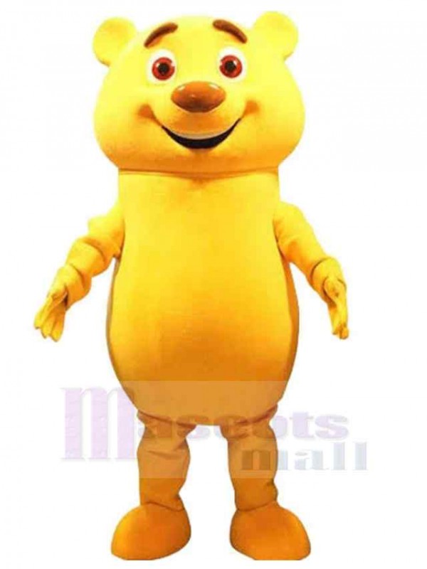 Bear mascot costume