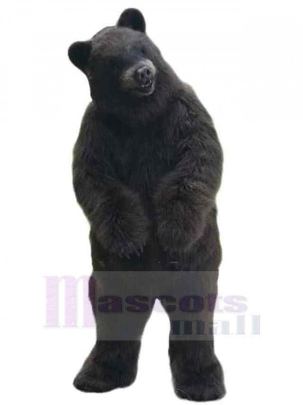 Bear mascot costume