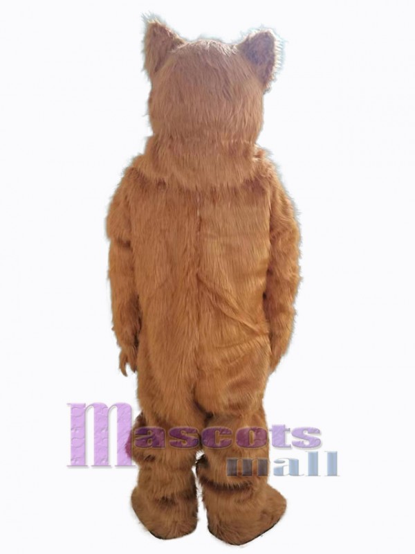 Bear mascot costume