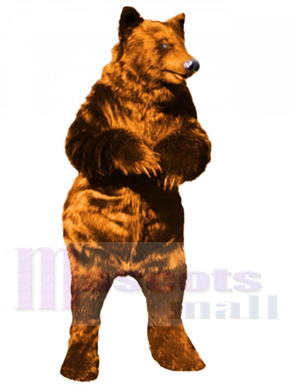 Bear mascot costume