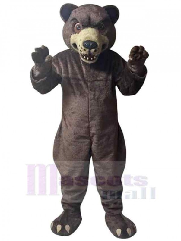 Bear mascot costume