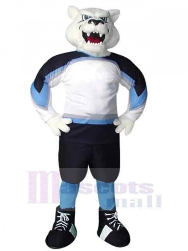 Bear mascot costume