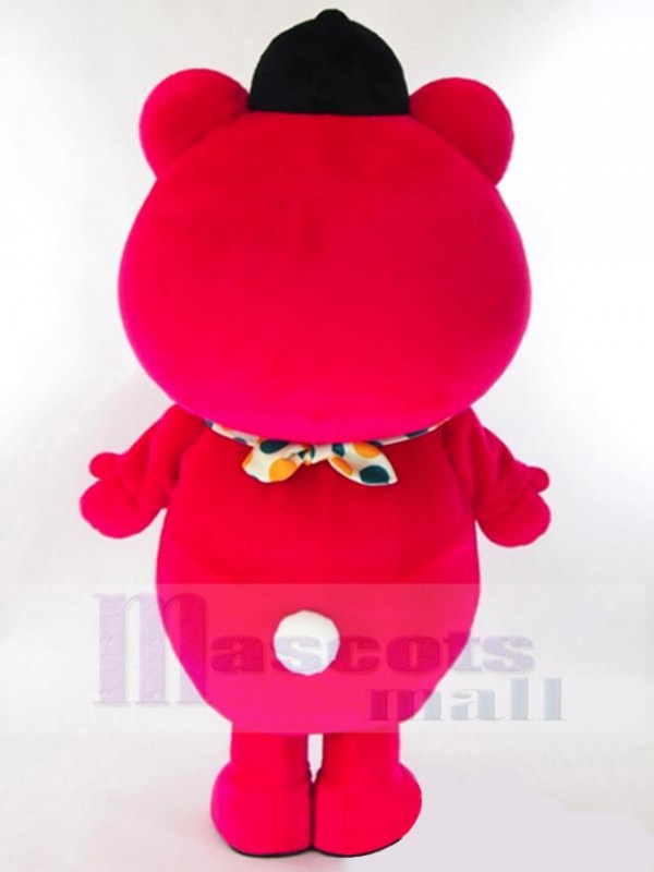 Bear mascot costume