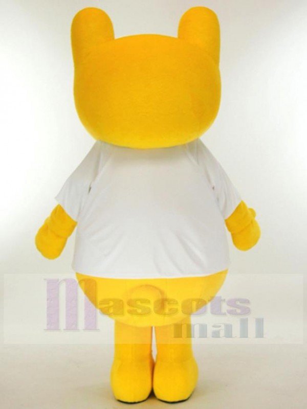 Bear mascot costume