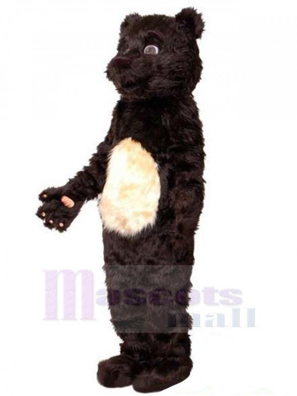 Bear mascot costume