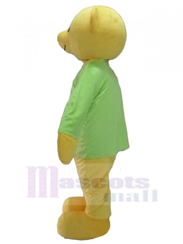 Bear mascot costume