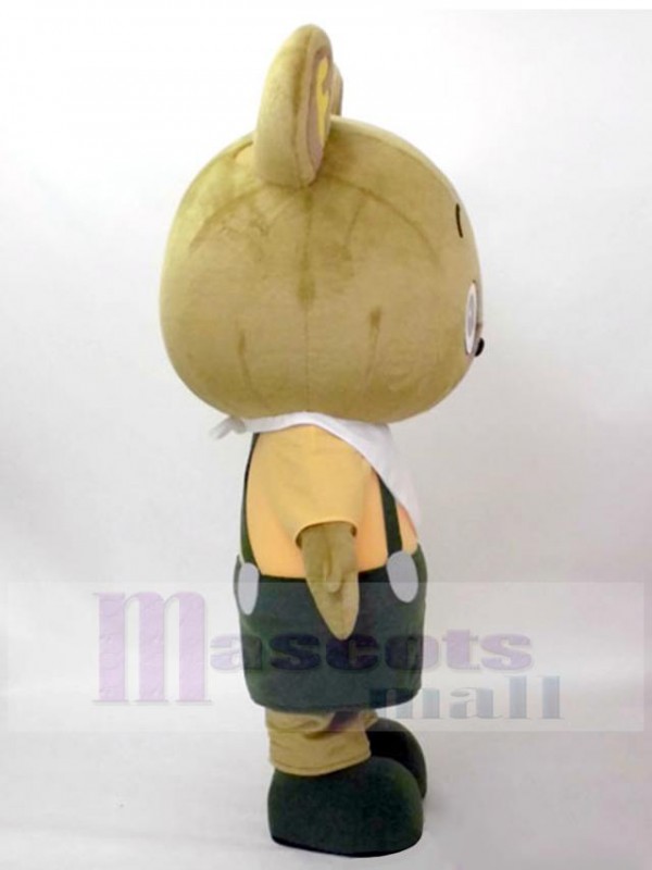 Bear mascot costume