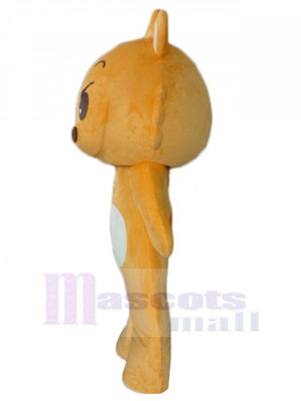 Bear mascot costume