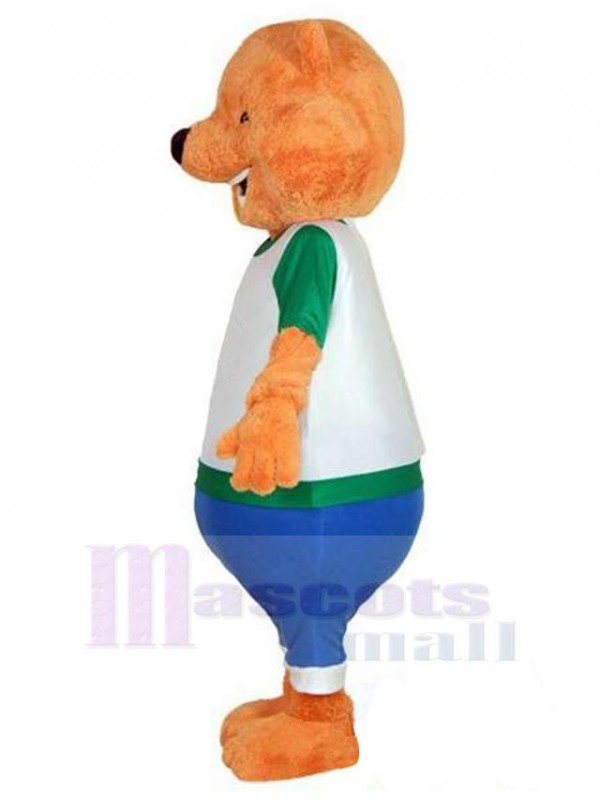 Bear mascot costume
