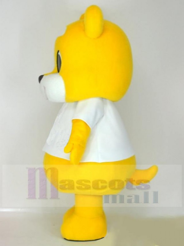 Bear mascot costume