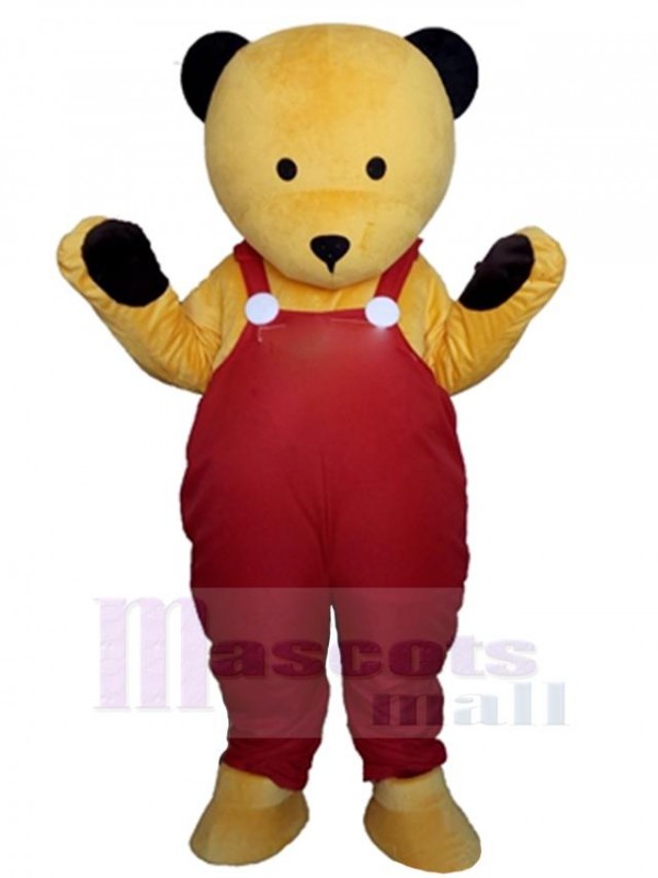 Bear mascot costume