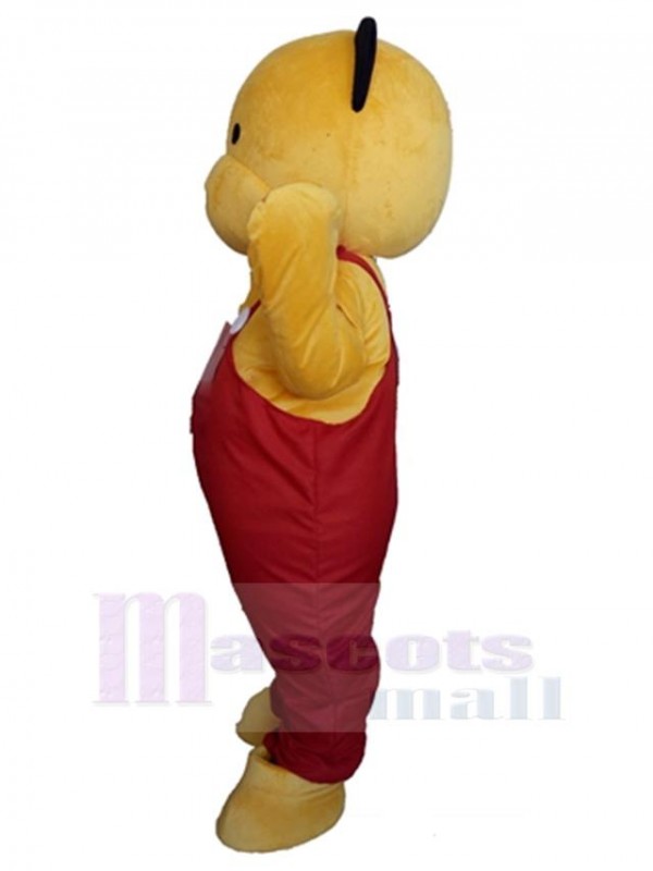 Bear mascot costume