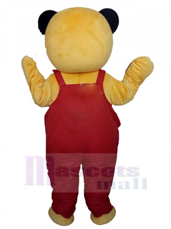 Bear mascot costume