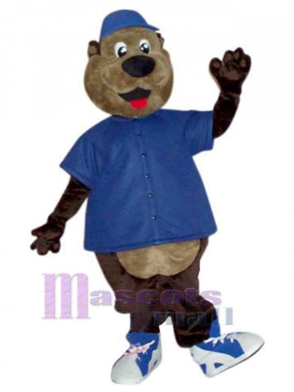 Bear mascot costume