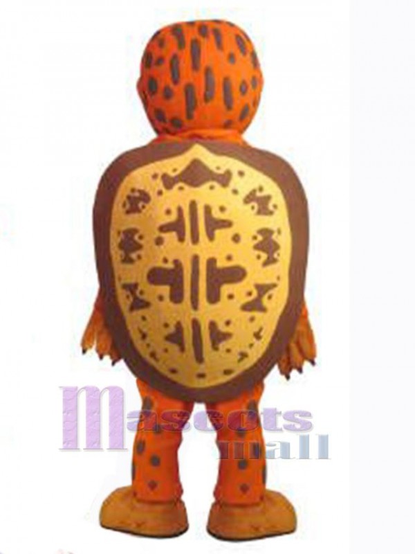 Turtle mascot costume