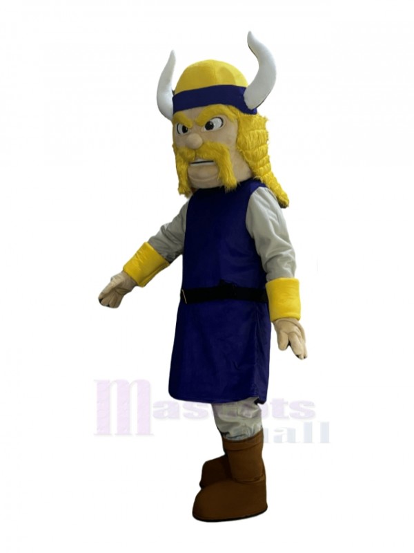 Viking Pirate mascot costume
