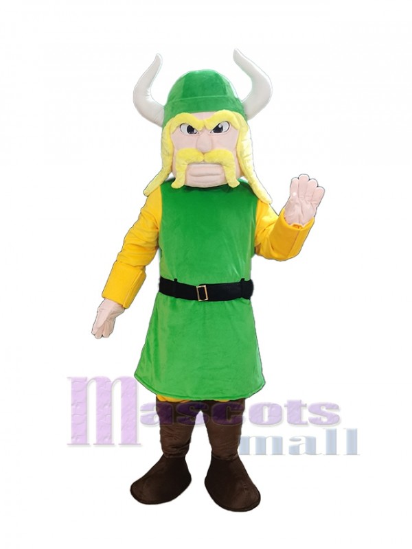 Pirate mascot costume
