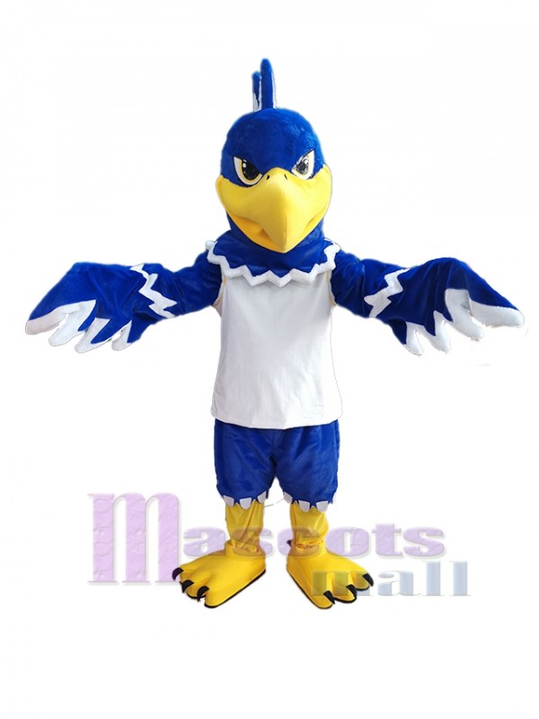 Hawk mascot costume