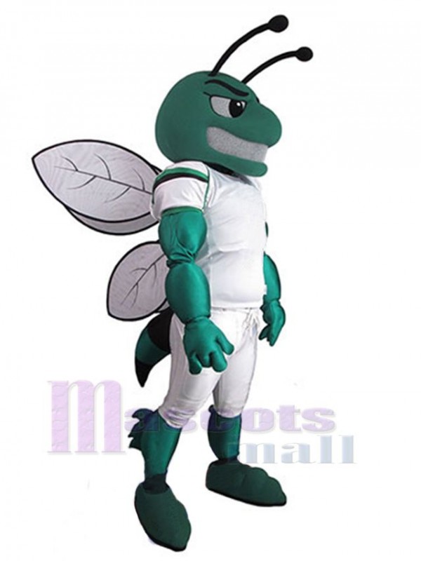 Hornet mascot costume