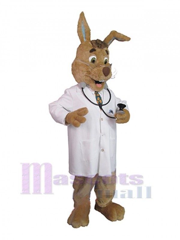 Easter Bunny Rabbit mascot costume