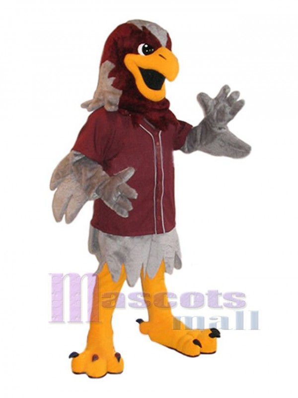 Falcon mascot costume