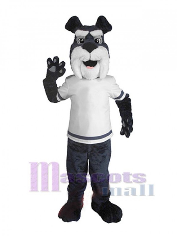 Dog mascot costume