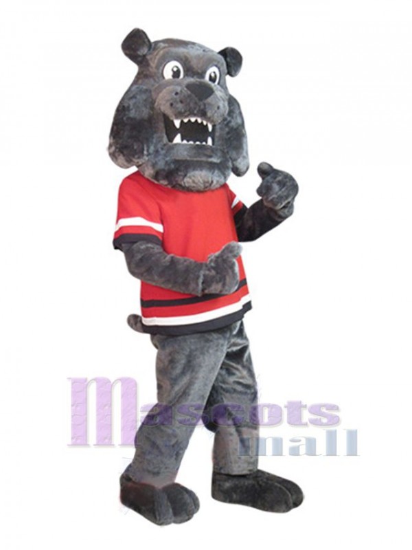 Dog mascot costume