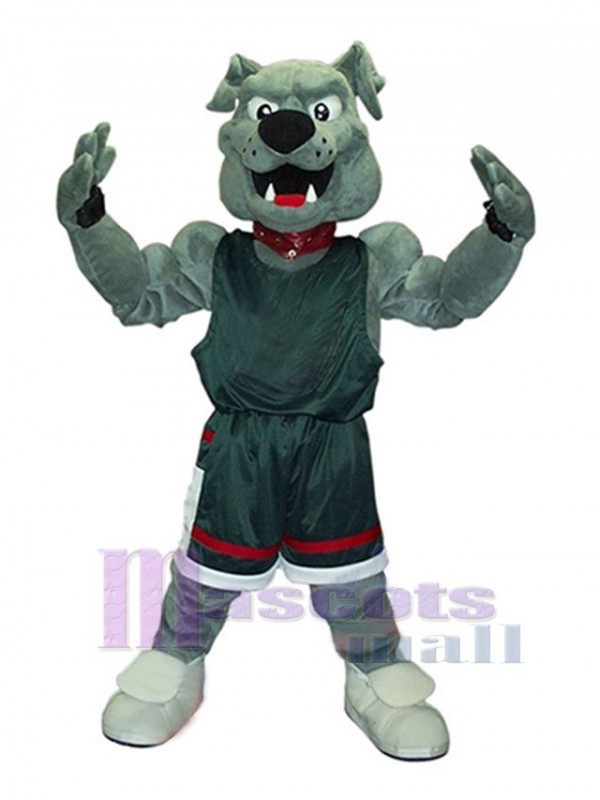 Dog mascot costume
