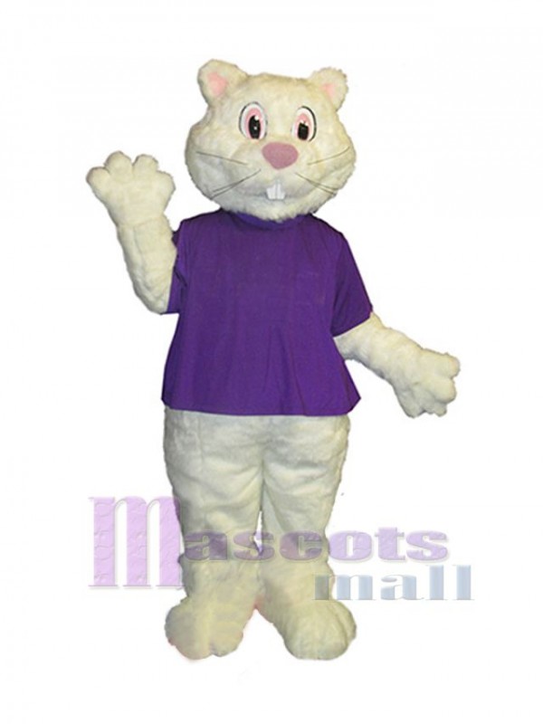 Groundhog mascot costume