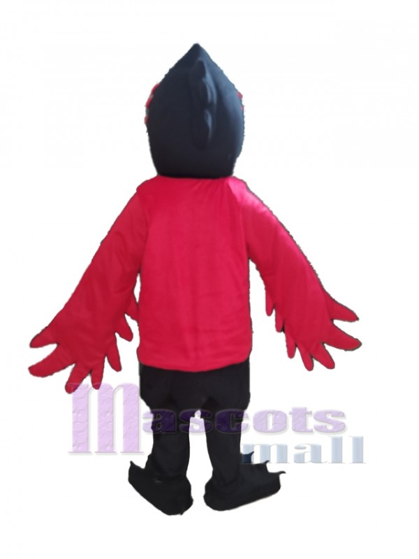 Raven mascot costume
