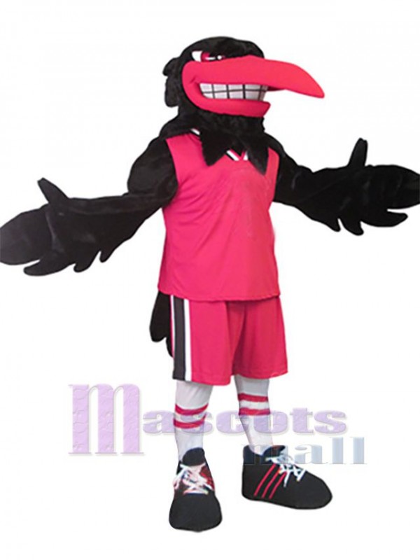 Raven mascot costume