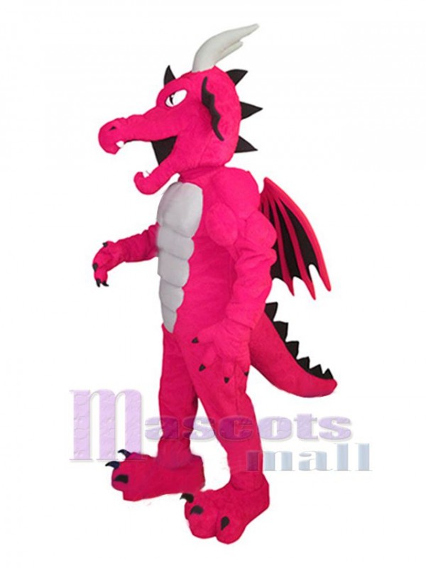 Dragon mascot costume
