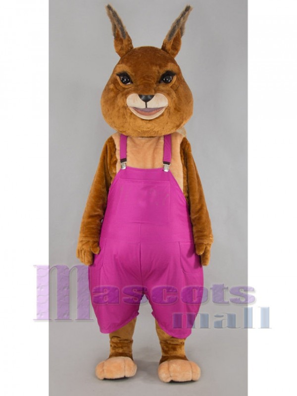 rabbit mascot costume