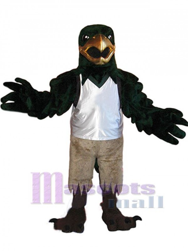Falcon mascot costume