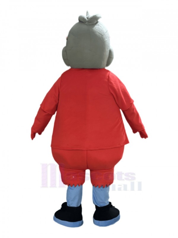 Duck mascot costume