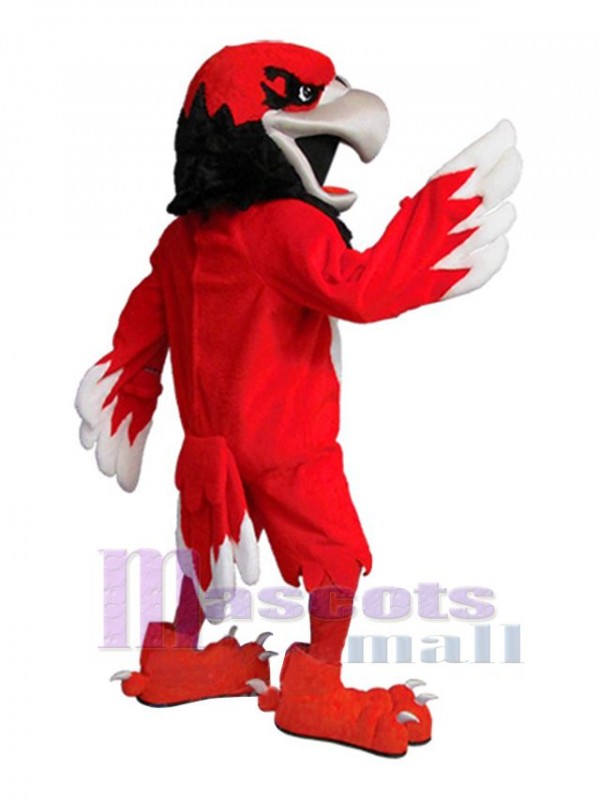 Hawk mascot costume