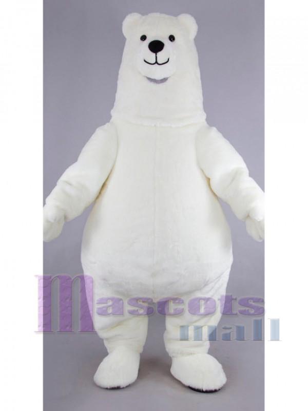Bear mascot costume