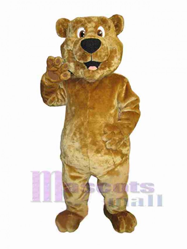 Bear mascot costume