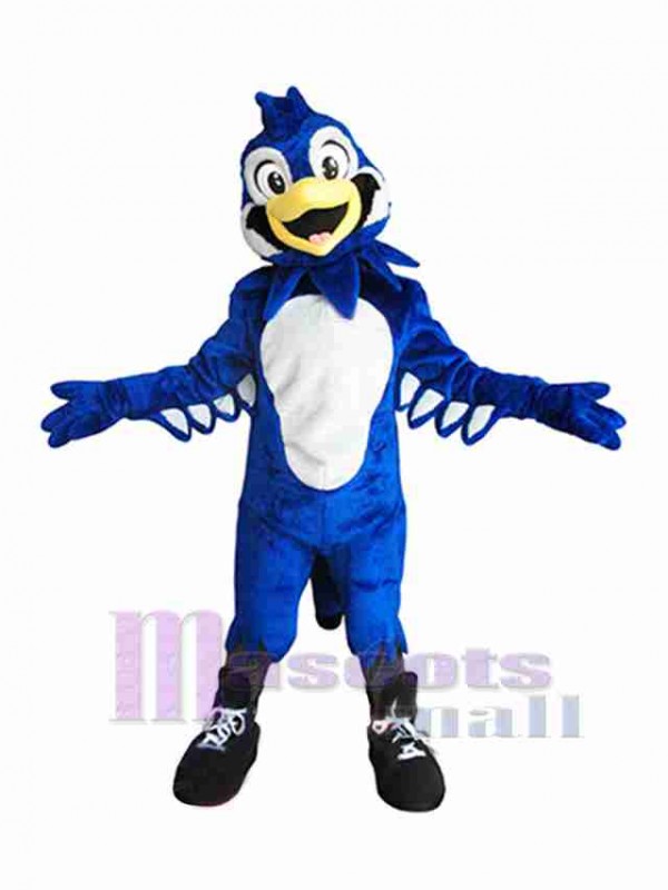 Bird mascot costume