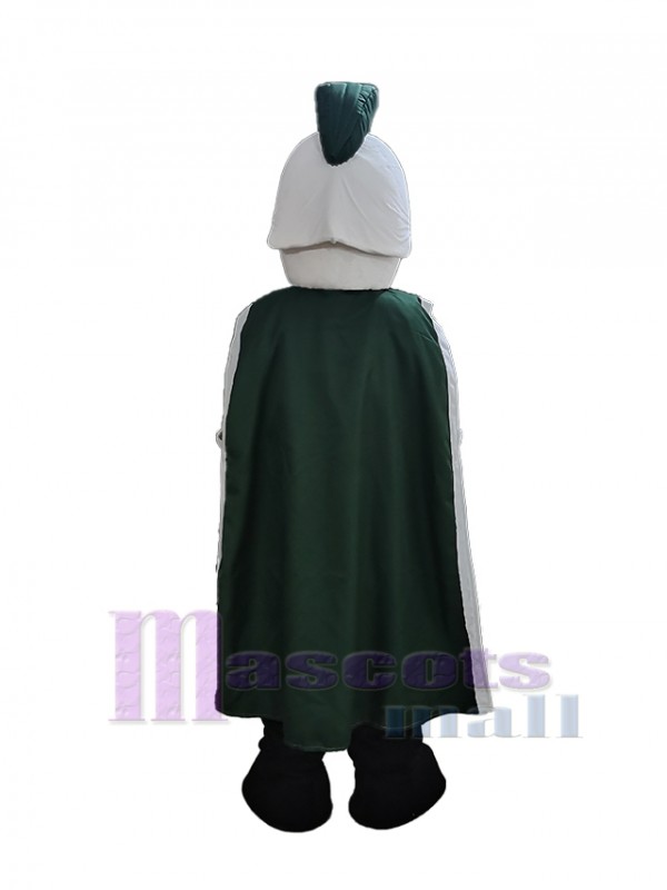Knight mascot costume