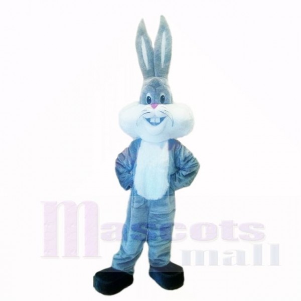 Grey Lightweight Rabbit with Long Ear Mascot Costumes Cartoon
