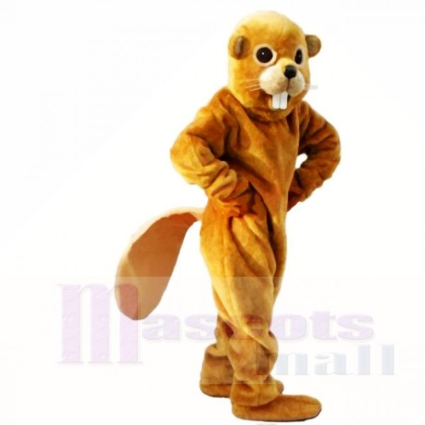 Friendly Yellow Lightweight Beaver Mascot Costumes Adult